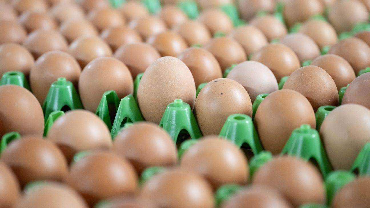 比赛中的男人通常会得到香槟。这家伙有鸡蛋。