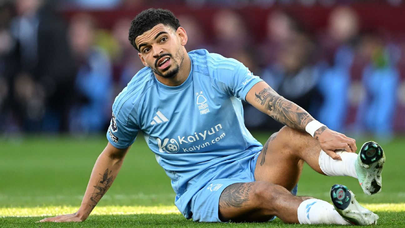 转会传闻，新闻：曼城看中了来自诺丁汉森林的吉布斯-怀特