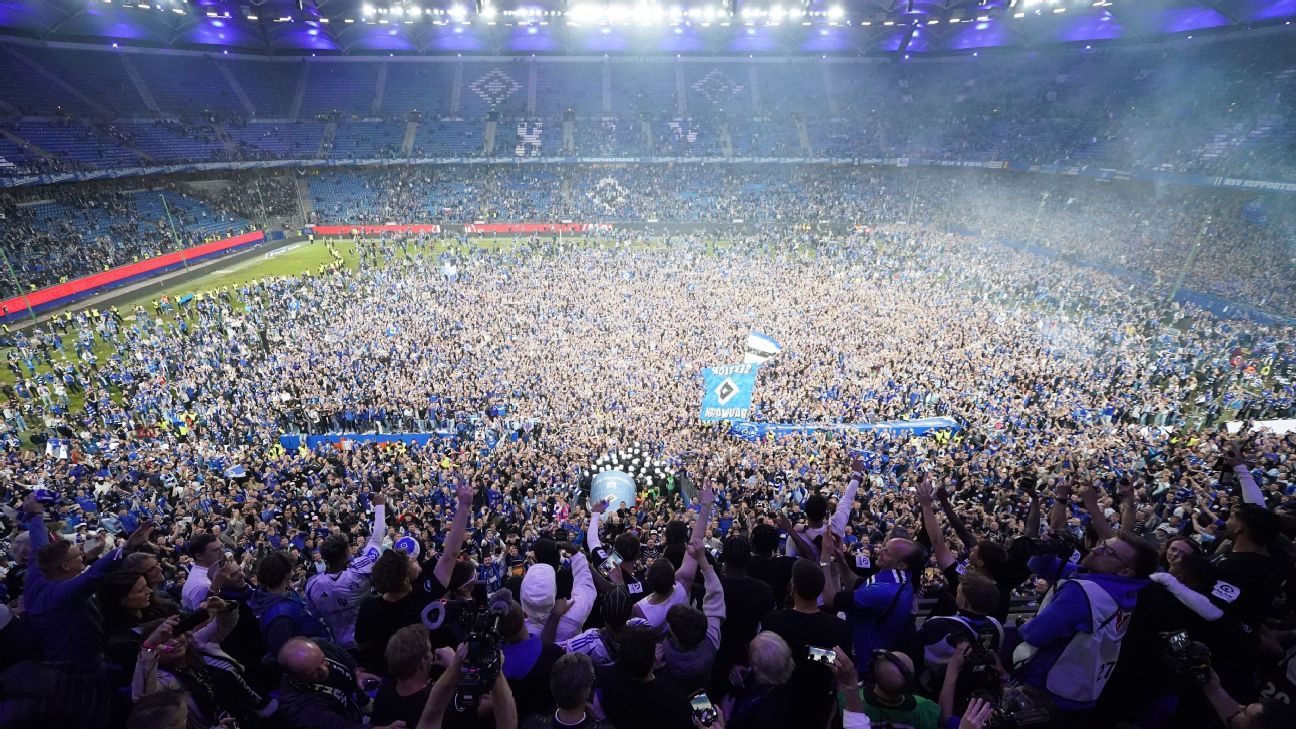 汉堡球迷在德甲升级后严重受伤