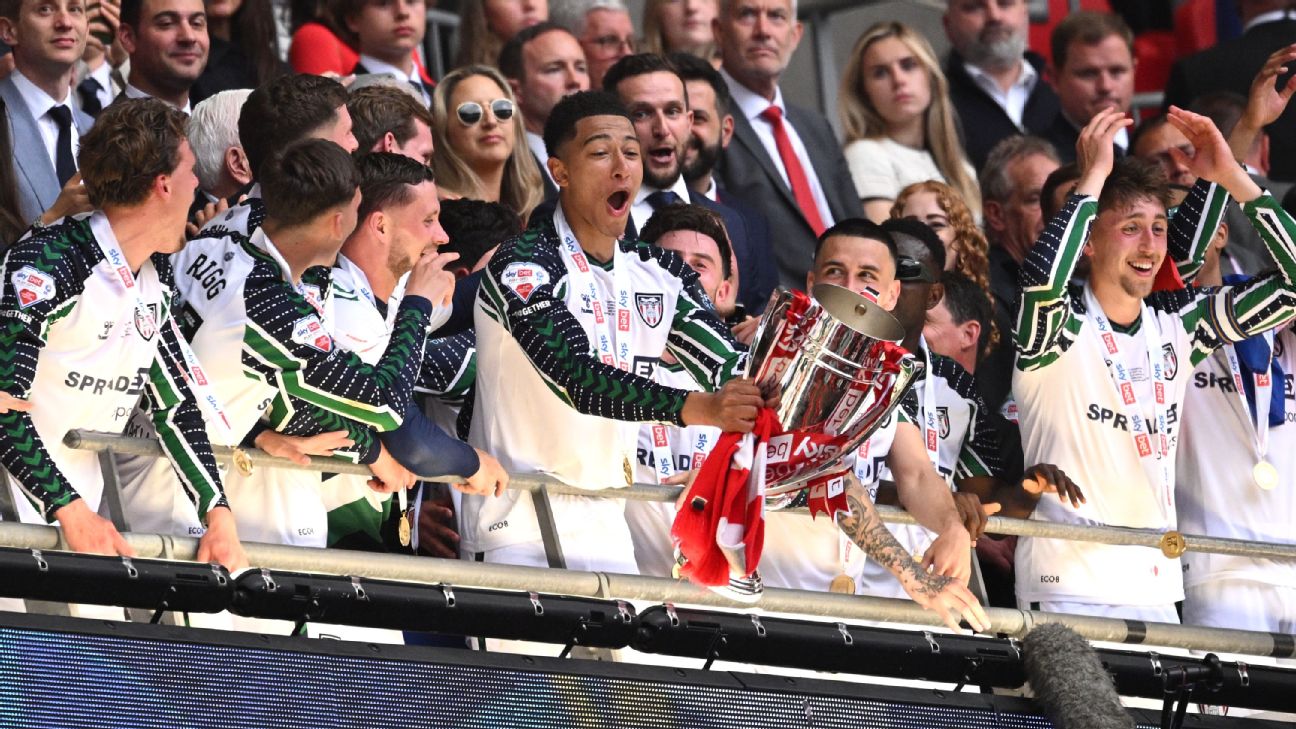 恭喜你，你已经升入英超了！现在怎么办呢?