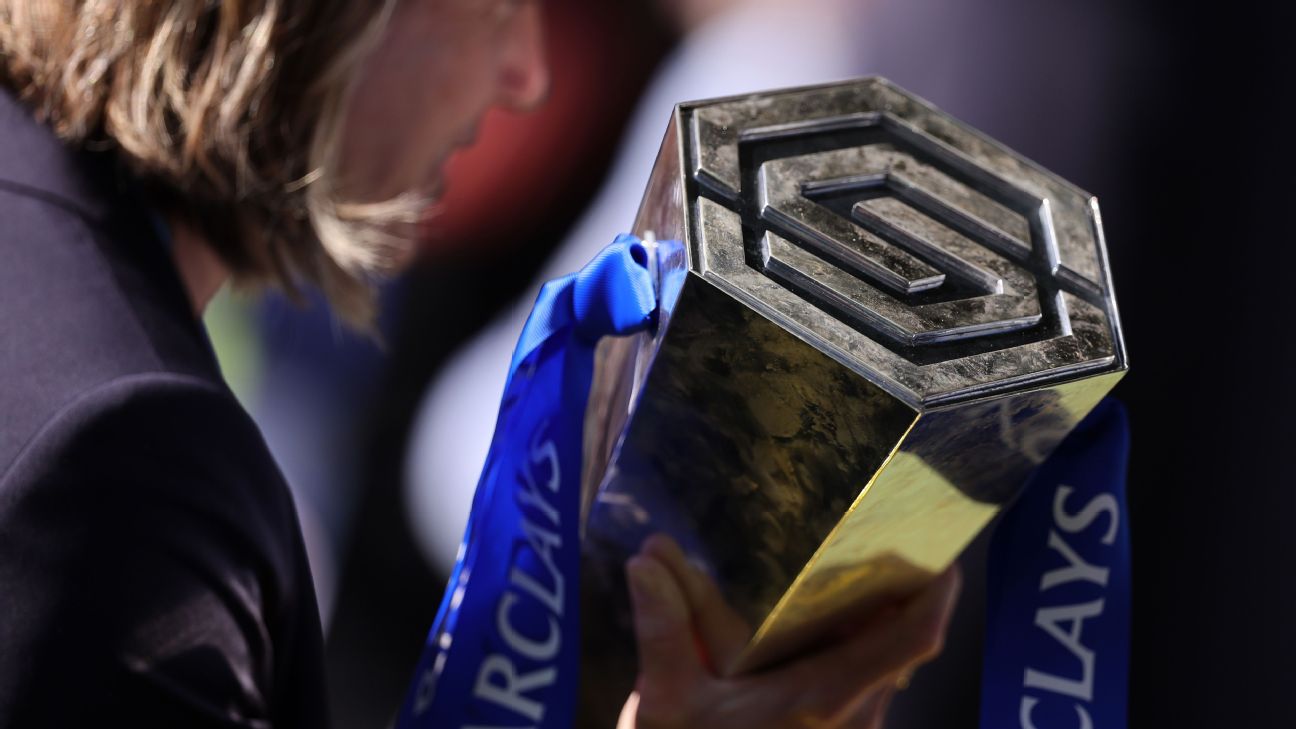 WSL扩展问答：14支球队，保级季后赛，还有什么？