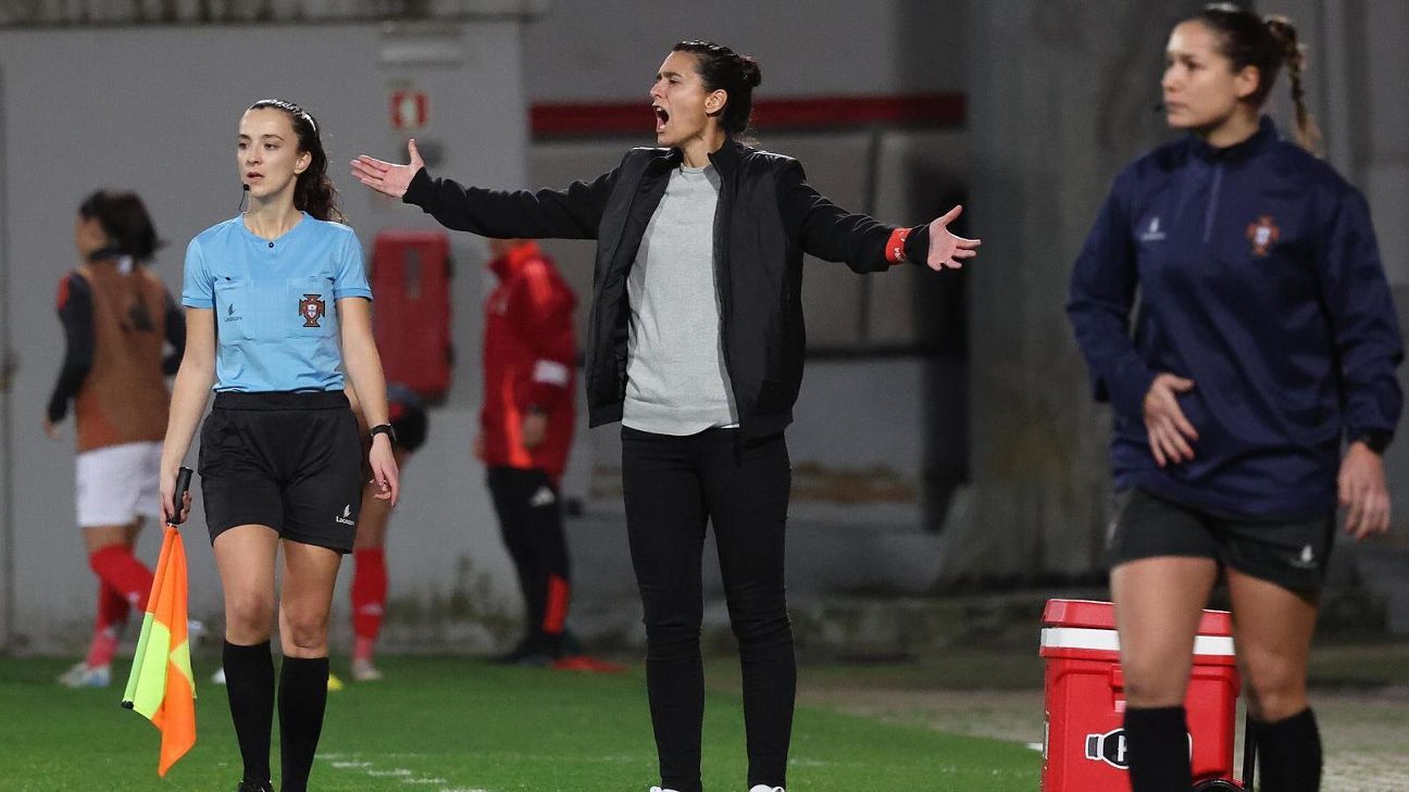 新波士顿遗产队教练pat