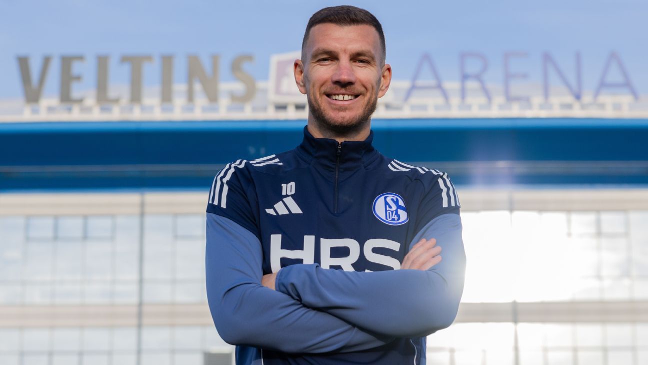 39岁的埃丁·杰科期待重返德国，加盟沙尔克队，力争征战世界杯。