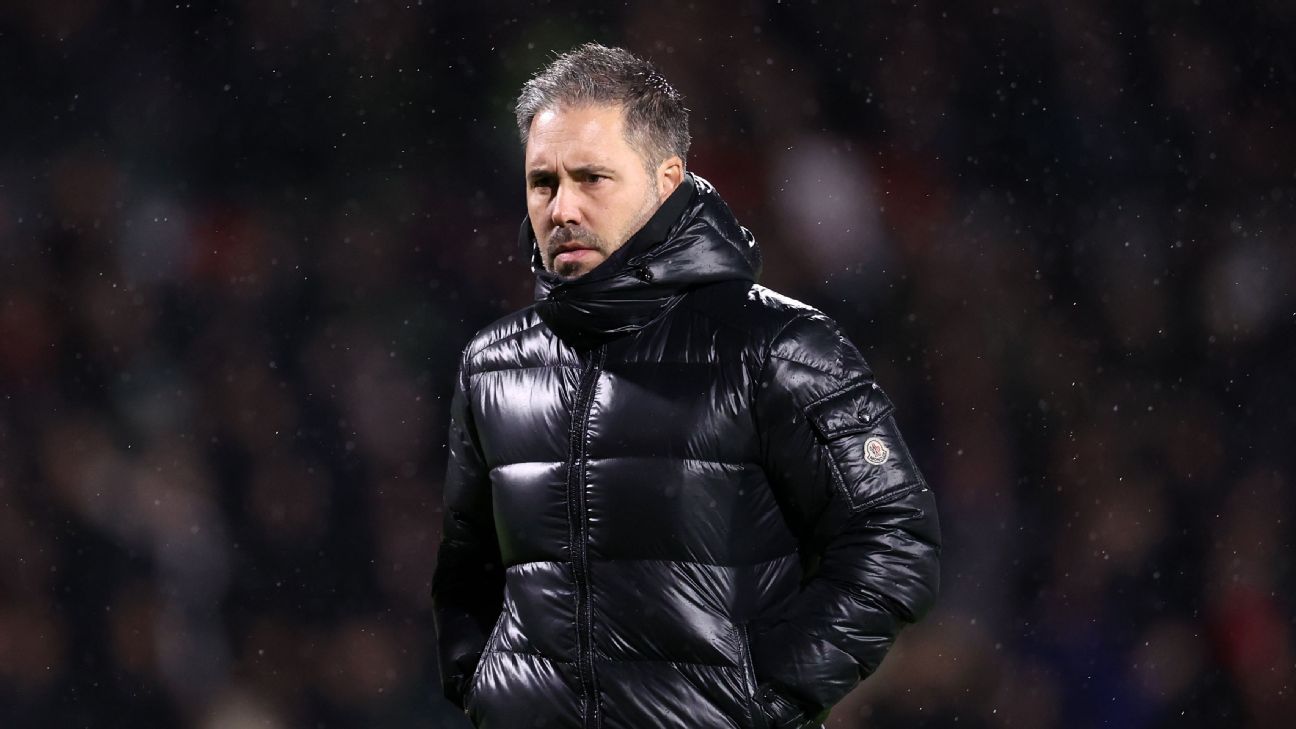 莱斯特城解雇马蒂·西富恩特斯，球队目前排名第14位。