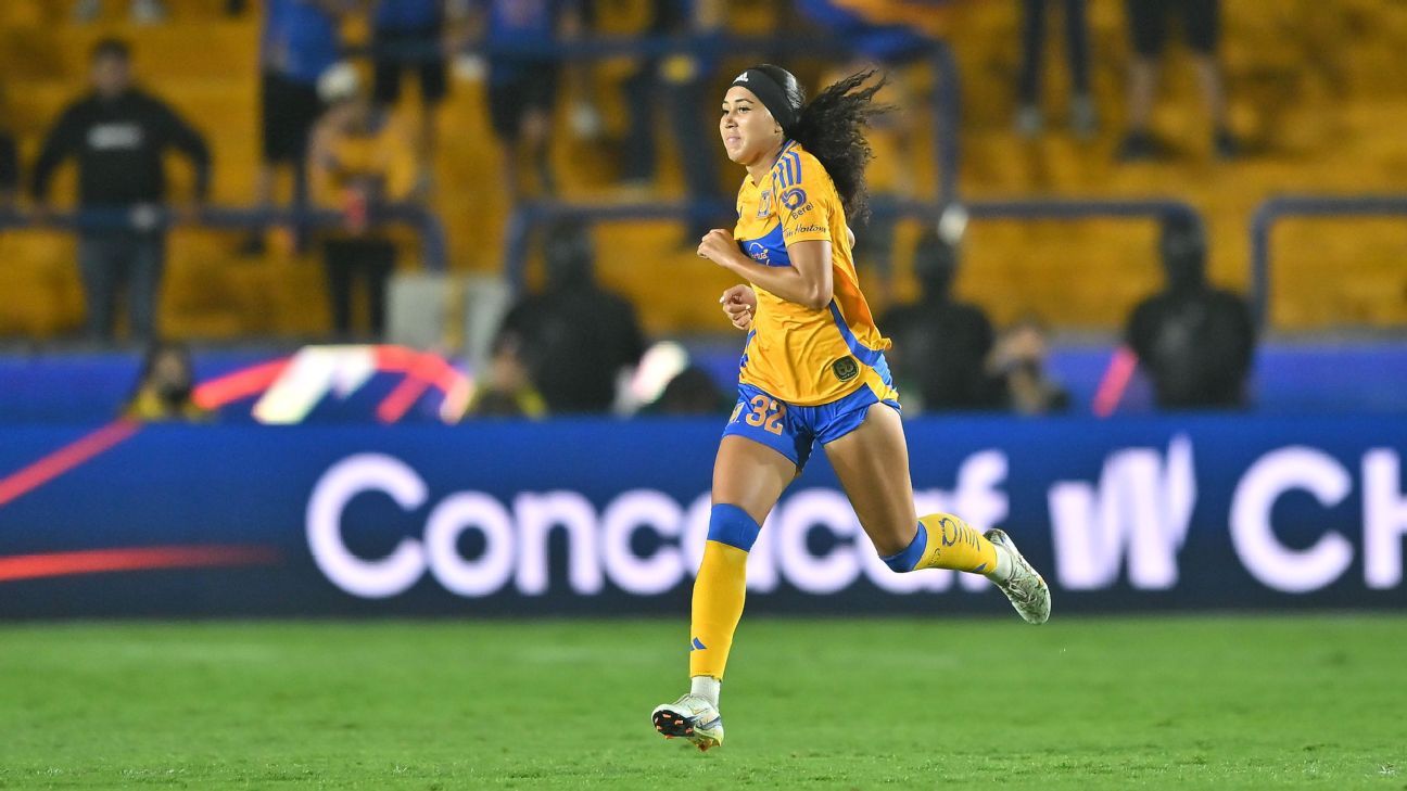 阿莉亚·法默因遭受骚扰而离开老虎队，加盟星辰队。