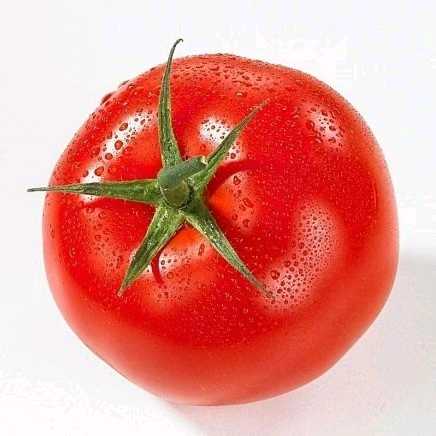 番茄你个西红柿